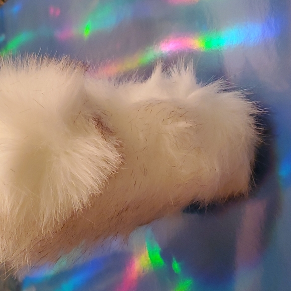 White squirrel - Picture 4 of 5